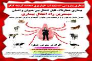 برگزاری کارگاههای آموزشی (CCHF) در روستاهای قزوین